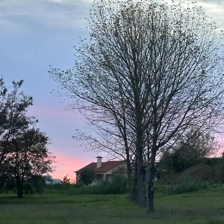 Apartamento Praia Appartamento Ourém